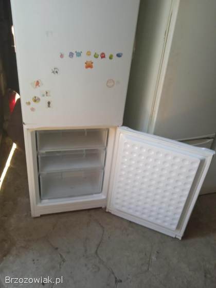 Lodówka firmy Bosch