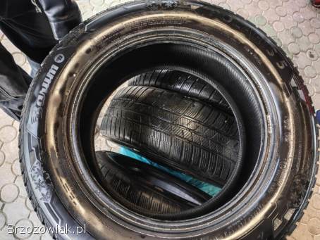 Sprzedam opony Braun Polaris