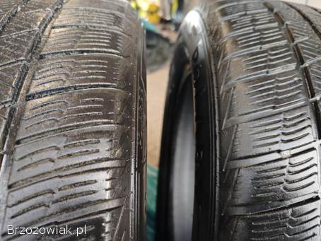 Sprzedam opony Braun Polaris