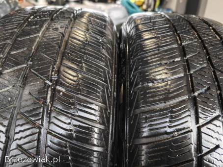 Sprzedam opony Braun Polaris