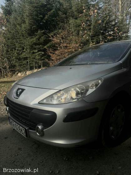 Peugeot 307 2006