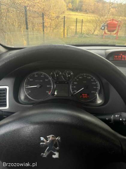 Peugeot 307 2006