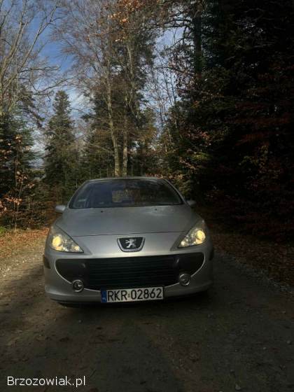 Peugeot 307 2006