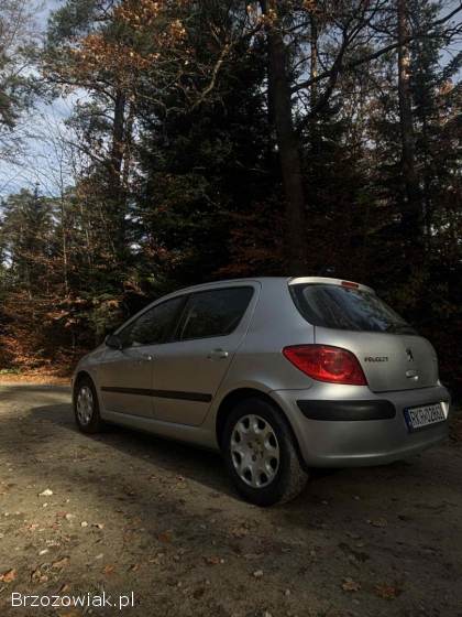 Peugeot 307 2006