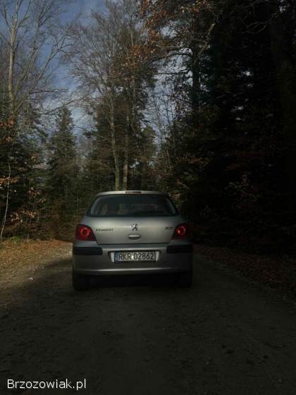 Peugeot 307 2006