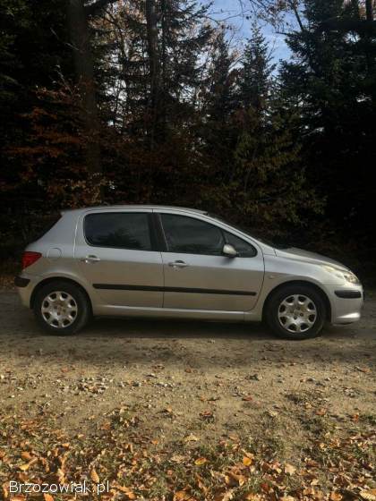 Peugeot 307 2006