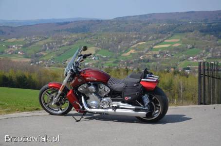 Harley-Davidson V-Rod Muscle 2009