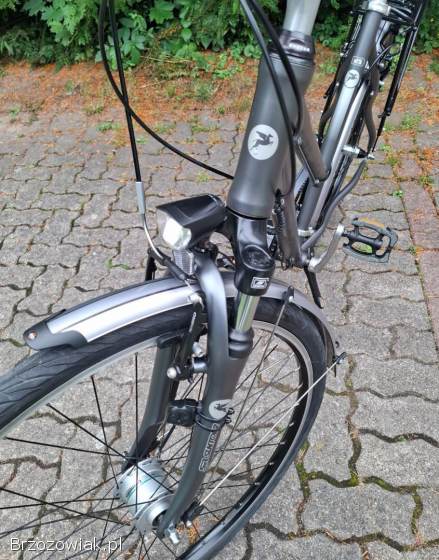 Rower Trekingowy Pegasus z Niemiec