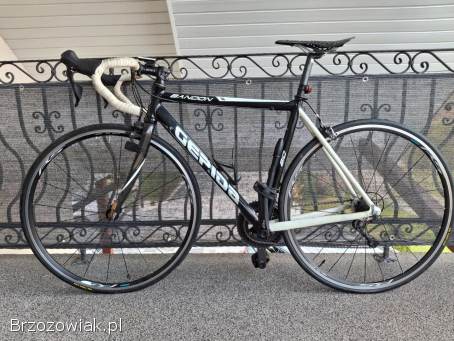 Rower marki GEPIDA + trenażer ELITE