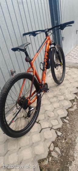 Rower Giant super stan