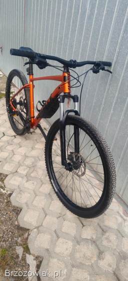 Rower Giant super stan