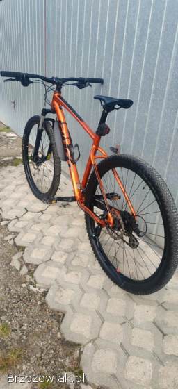 Rower Giant super stan