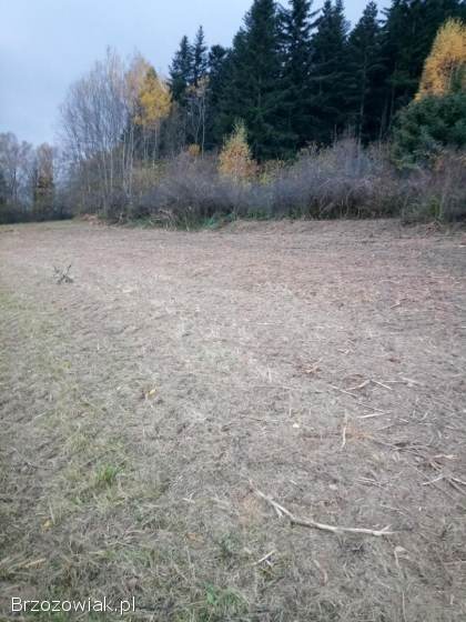 Mulczerowanie,  wycinka