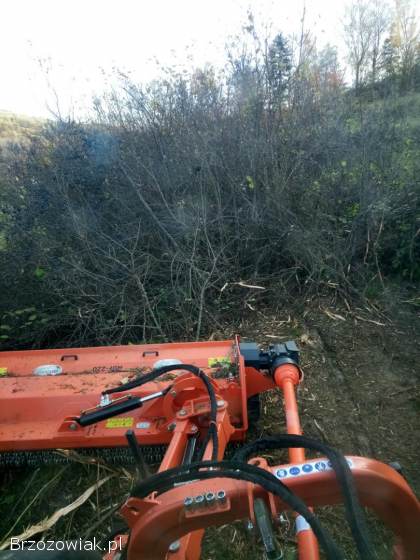 Mulczerowanie,  wycinka