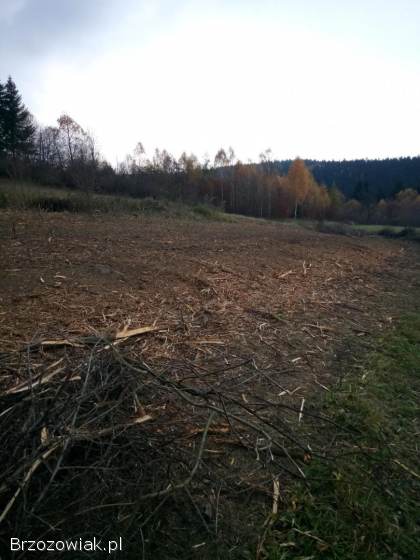 Mulczerowanie,  wycinka