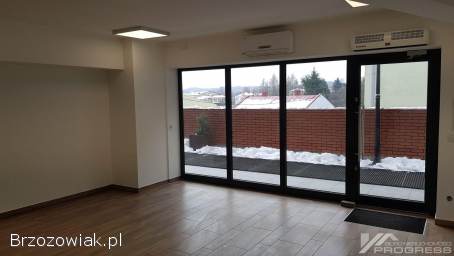 Atrakcyjny lokal do wynajęcia – Galeria Brzozów.