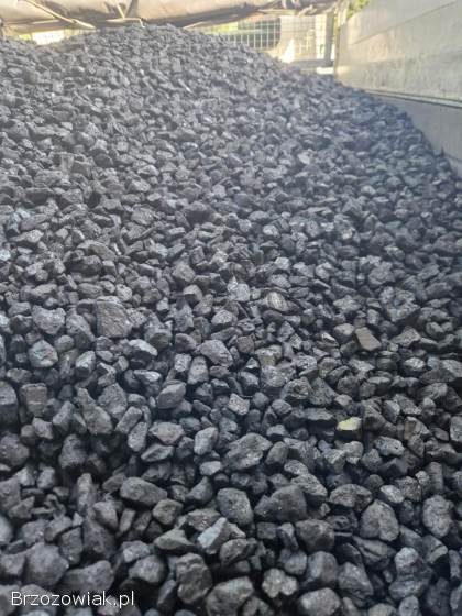 Węgiel groszek 5-25