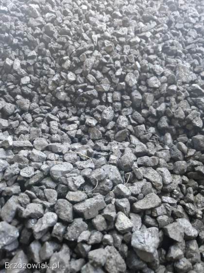 Węgiel groszek 5-25