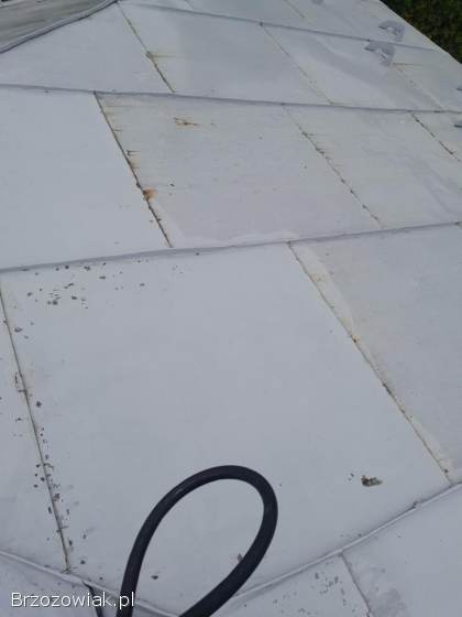 Mycie dachów kostki itp