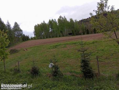 Działka budowlana 13ar