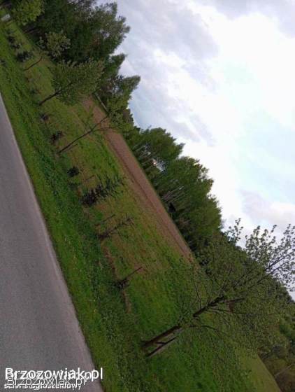 Działka budowlana 13ar