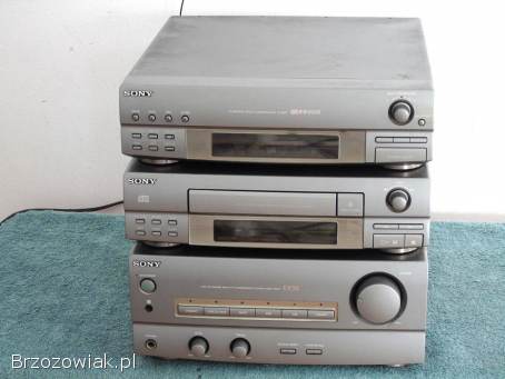 Wieża Sony segmenty mocna i sprawna.  DOSTAWA.