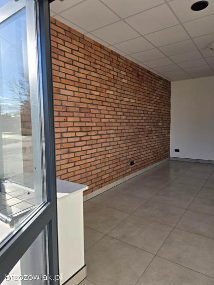 Lokal do wynajęcia