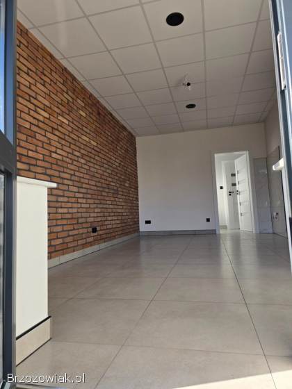 Lokal do wynajęcia
