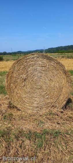 Sprzedam słomę