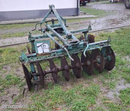 Brona talerzowa-Talerzówka Słupsk