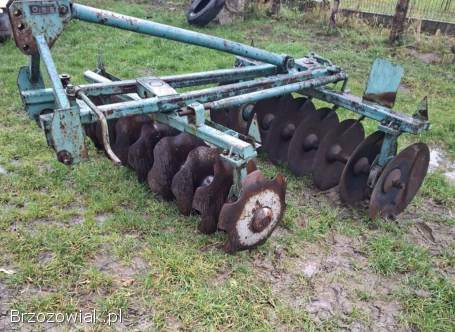 Brona talerzowa-Talerzówka Słupsk