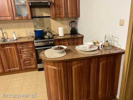 Sprzedam meble kuchenne wraz z kuchnią gazową i lodówką.