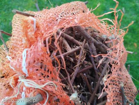 Zrębki gałęzie do palenia,  na podpałkę,  do wędzenia jabłoń