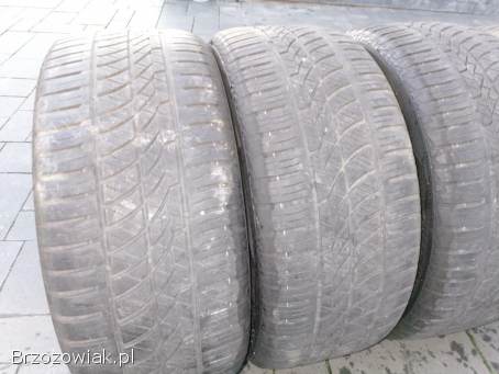 Opony zimowe 17 225/50