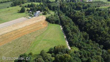 Działki z warunkami zabudowy -  Pakoszówka