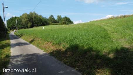 Działki z warunkami zabudowy -  Pakoszówka