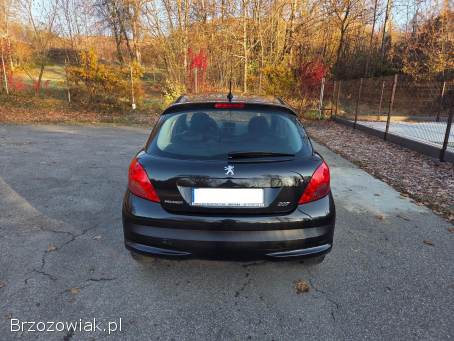 Peugeot 207 2009