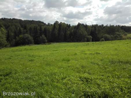 Glinik Górny gm.  Frysztak działka 81 arów