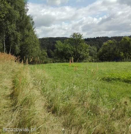 Glinik Górny gm.  Frysztak działka 81 arów