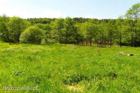 Żohatyn gm.  Bircza działka 61 arów,  możliwość dokupienia większej działki