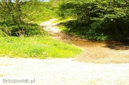 Żohatyn gm.  Bircza działka 61 arów,  możliwość dokupienia większej działki