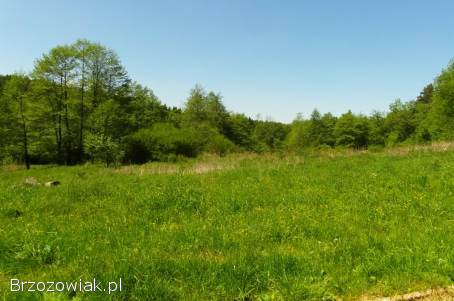 Żohatyn gm.  Bircza działka 61 arów,  możliwość dokupienia większej działki