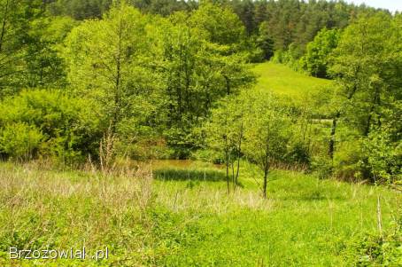 Żohatyn gm.  Bircza działka 61 arów,  możliwość dokupienia większej działki