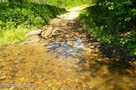 Żohatyn gm.  Bircza działka 61 arów,  możliwość dokupienia większej działki