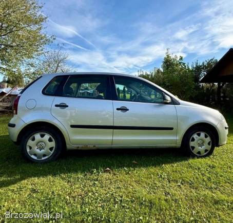 Volkswagen Polo 2007
