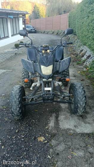Quad Bashan 200