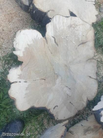 Plastry drzewa na stolik GRAB