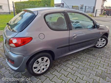 Peugeot 206 plus Benzyna 1.  4 8V 2009