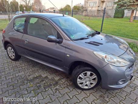 Peugeot 206 plus Benzyna 1.  4 8V 2009