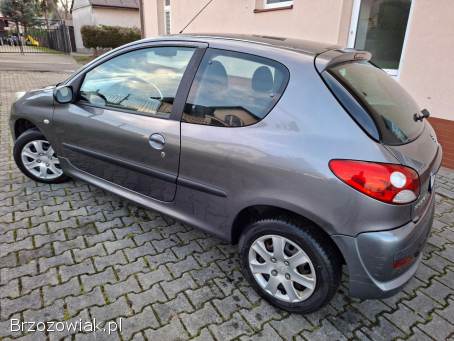 Peugeot 206 plus Benzyna 1.  4 8V 2009